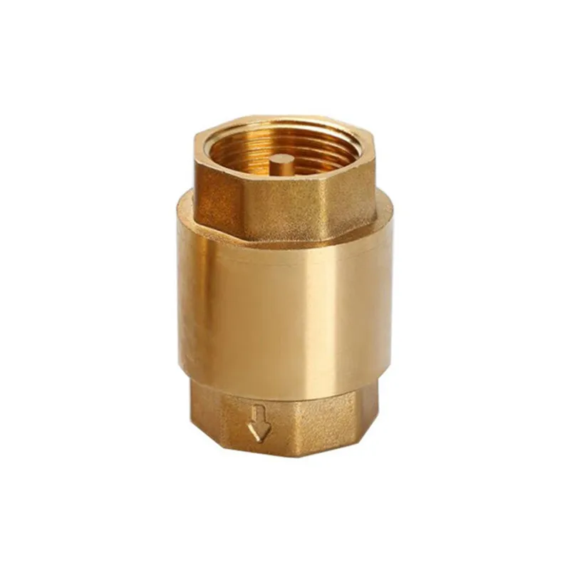 Vacuum Chamber Kit With Pump - 1 pz Valvola di ritegno in