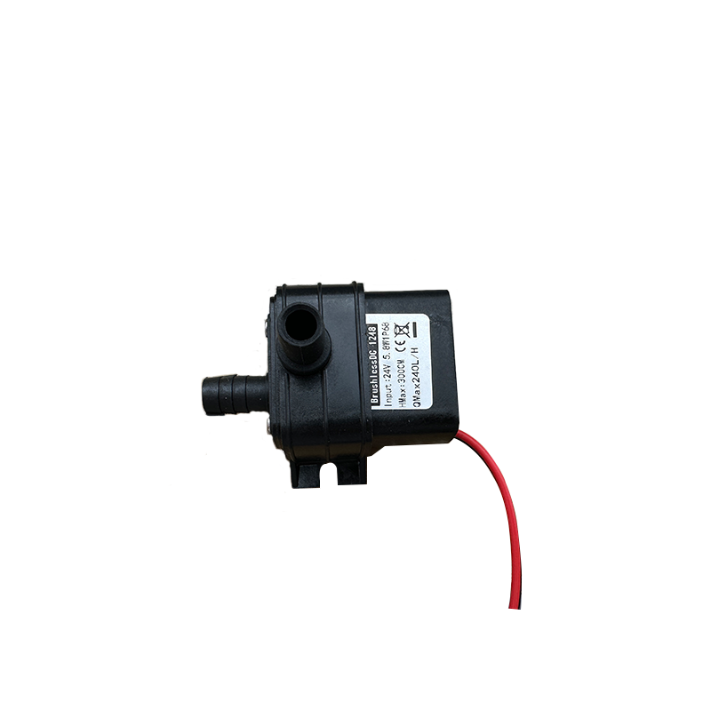 Pompa portatile DC 12V 4.8W 24 - Mini Peristaltic Pump 12V recensione e prezzo